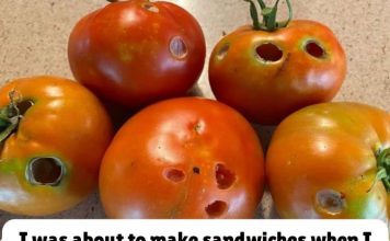 What It Means If You See These Holes in Tomatoes