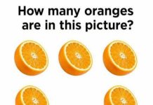 How Many Oranges Are Really in the Picture?