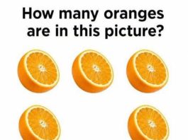 How Many Oranges Are Really in the Picture?