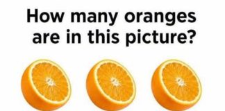How Many Oranges Are Really in the Picture?