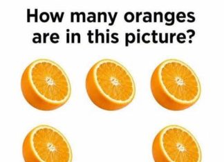 How Many Oranges Are Really in the Picture?