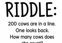 200 Cows Are in a Line: How Many Does the Cow Count?