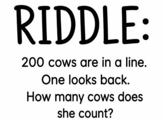200 Cows Are in a Line: How Many Does the Cow Count?