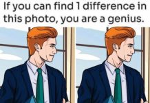 Spot 1 Difference in the Office Guy Picture!