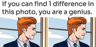 Spot 1 Difference in the Office Guy Picture!
