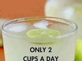 The Ultimate Lemon-Lime Wellness Elixir: A Refreshing, Hydrating Boost for Your Day (And Why Your Body Will Thank You!)