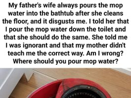 Where to Dispose of Dirty Mop Water: Toilet or Bathtub?