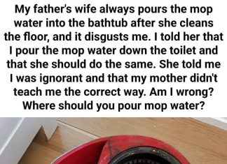 Where to Dispose of Dirty Mop Water: Toilet or Bathtub?