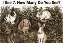 How Many Rabbits Do You See?