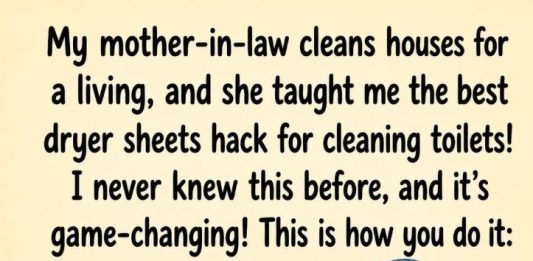 Surprising Dryer Sheet Hack for Easy Toilet Cleaning