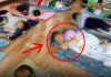 A Teacher Deleted a Classroom Nap Photo Seconds After Posting It—One Parent Had Already Saved It
