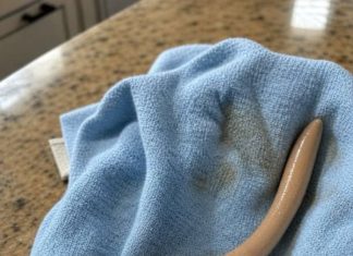 I Thought It Was a Piece of Trash on the Bathroom Floor – Until It Moved