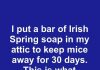 I Put a Bar of Irish Spring Soap in My Attic to Keep Mice Away for 30 Days. This Is What Happened