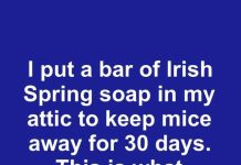 I Put a Bar of Irish Spring Soap in My Attic to Keep Mice Away for 30 Days. This Is What Happened