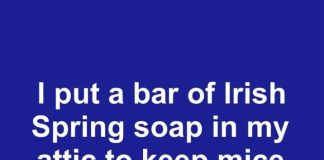 I Put a Bar of Irish Spring Soap in My Attic to Keep Mice Away for 30 Days. This Is What Happened