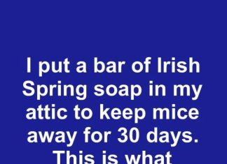 I Put a Bar of Irish Spring Soap in My Attic to Keep Mice Away for 30 Days. This Is What Happened