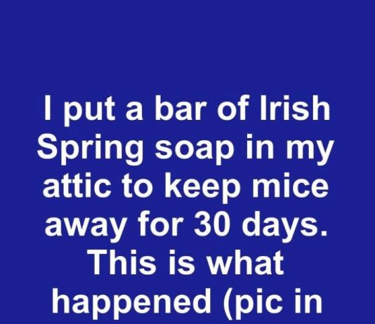 I Put a Bar of Irish Spring Soap in My Attic to Keep Mice Away for 30 Days. This Is What Happened