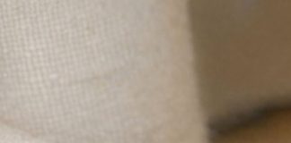 Saw This Huge Wasp Crawling Slowly on My Curtains Inside. It Looks Groggy and Isn’t Flying Much. Is There a Nest Inside My Walls?