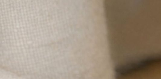 Saw This Huge Wasp Crawling Slowly on My Curtains Inside. It Looks Groggy and Isn’t Flying Much. Is There a Nest Inside My Walls?
