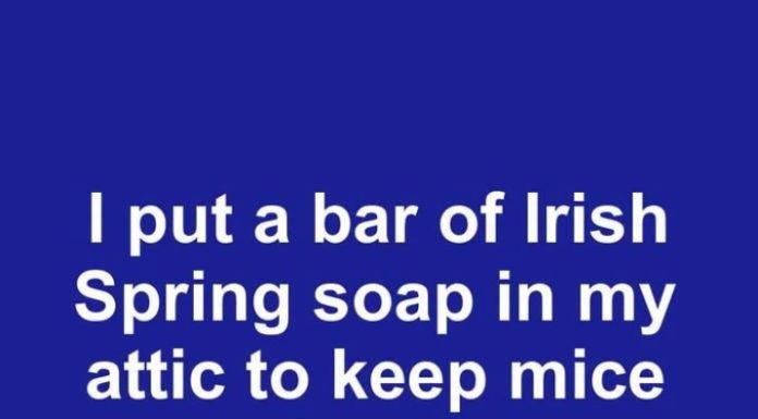 I Put a Bar of Irish Spring Soap in My Attic to Keep Mice Away for 30 Days. This Is What Happened