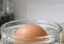 Okay Chefs, Can You Explain Why My Breakfast Is Floating?