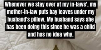Why People Put Bay Leaves Under Their Pillow