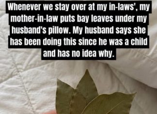Why People Put Bay Leaves Under Their Pillow