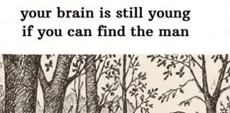 an You Find the Hidden Man? What This Classic Optical Illusion Reveals About Your Brain