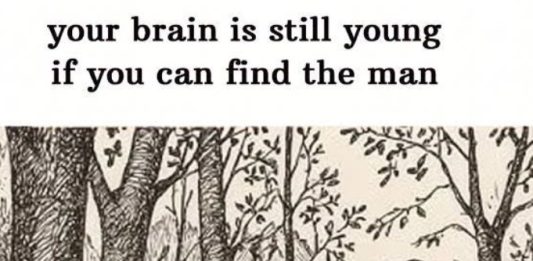 an You Find the Hidden Man? What This Classic Optical Illusion Reveals About Your Brain