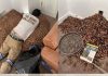 He Opened the Wall to Find the Source of a Strange Smell and Was Stunned