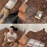 He Opened the Wall to Find the Source of a Strange Smell and Was Stunned