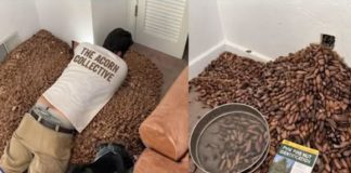 He Opened the Wall to Find the Source of a Strange Smell and Was Stunned