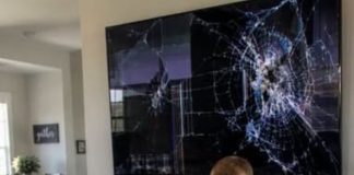 My SIL’s kids broke my $2,000 TV,…
