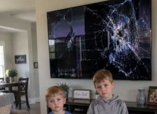 My SIL’s kids broke my $2,000 TV,…