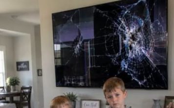My SIL’s kids broke my $2,000 TV,…