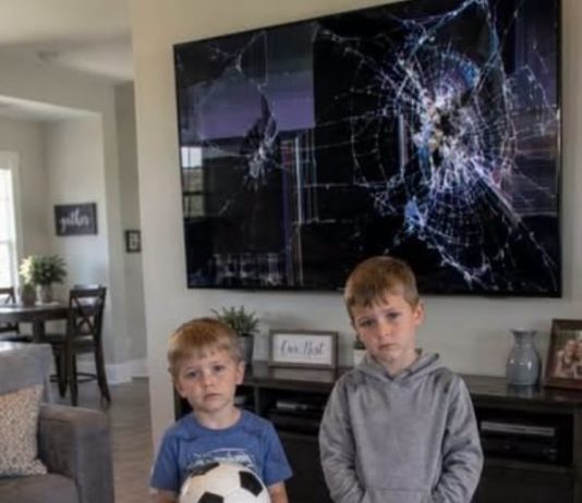 My SIL’s kids broke my $2,000 TV,…