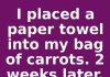 I placed a paper towel into my bag of carrots. 2 weeks later, this is what happened