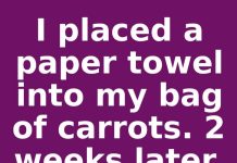 I placed a paper towel into my bag of carrots. 2 weeks later, this is what happened