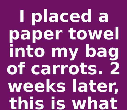 I placed a paper towel into my bag of carrots. 2 weeks later, this is what happened
