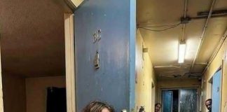 A Seven-Year-Old’s 2:17 A.M. Call Exposed a Terrifying Secret-heyily