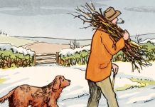 Can You Spot the Mistake in This Snowy Scene