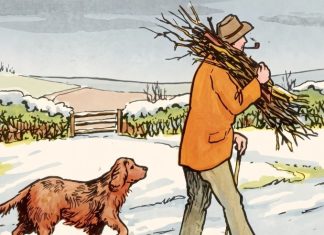 Can You Spot the Mistake in This Snowy Scene