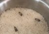 How to Get Rid of Pantry Moths and Keep Them Out for Good