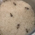 How to Get Rid of Pantry Moths and Keep Them Out for Good