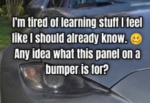 Small Panel on Bumper: Why It’s There