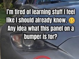 Small Panel on Bumper: Why It’s There