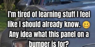 Small Panel on Bumper: Why It’s There