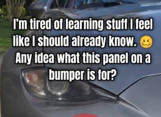 Small Panel on Bumper: Why It’s There