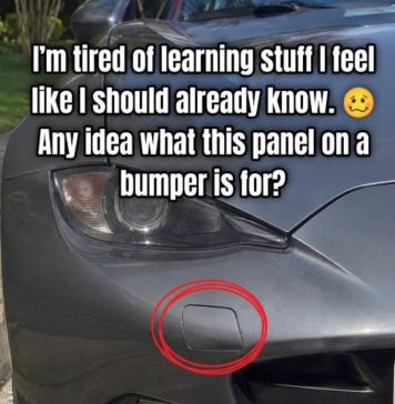 Small Panel on Bumper: Why It’s There