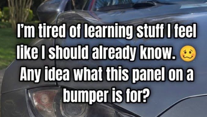 Small Panel on Bumper: Why It’s There